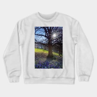 Crocus Sun Crewneck Sweatshirt